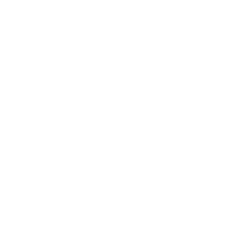 Brandon Everhart Logo-w